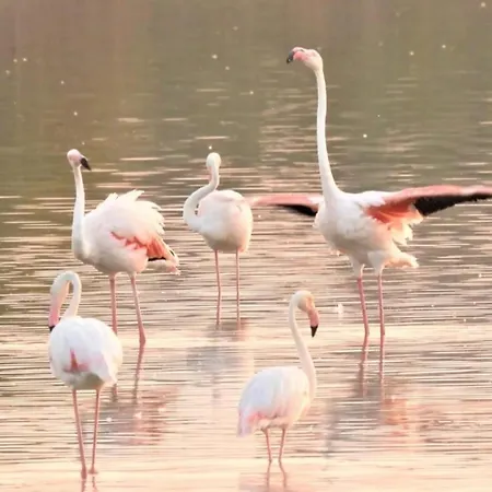 Mary Сasa de vacaciones *